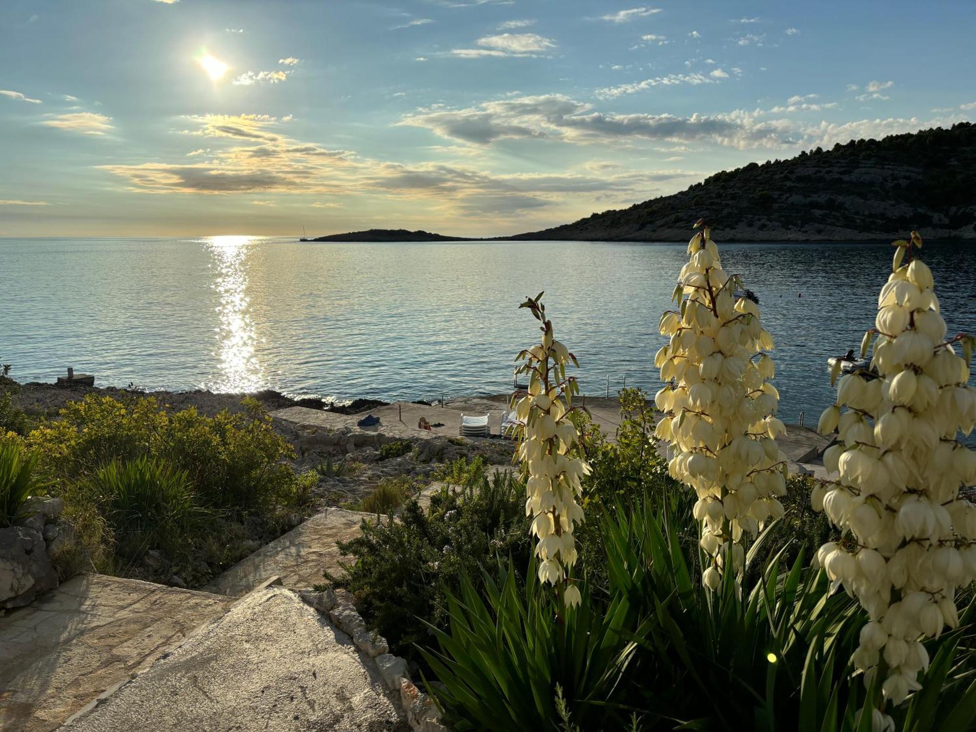 Direkt Am Meer-Apartments Puntaplanka Rogoznica  Εξωτερικό φωτογραφία